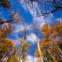 Scott Troutman Photo 10