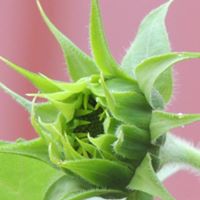 Julie Weinberg Photo 22