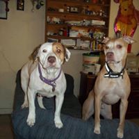 Jason Stephenson Photo 13