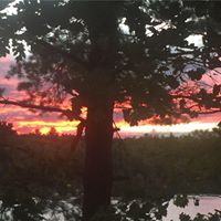 Julia Fuller Photo 15