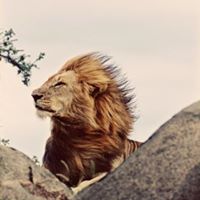 Leslie Ruth Photo 11