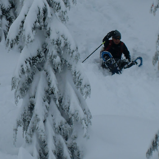 Dominic Leung Photo 17