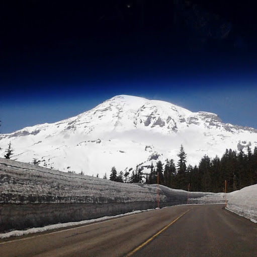 Donna Mead Photo 18
