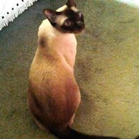 Katherine Jennings Photo 7