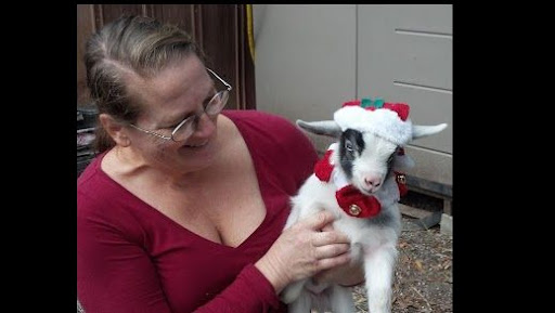 Joyce Wagner Photo 33