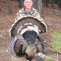 Paul Seward Photo 32