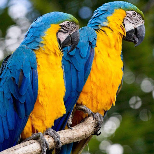 Christine Renard Photo 14