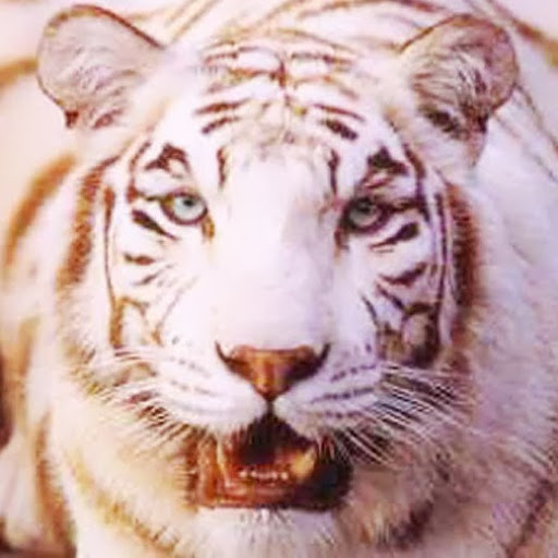 Ellen Connor Photo 18