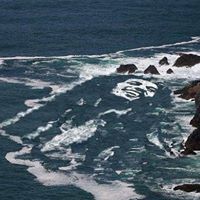 Darrel Jackson Photo 14