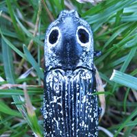 Robert Mcgrath Photo 37