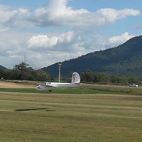 Ann Billings Photo 12