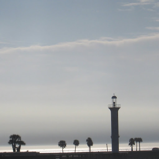 Danette Walker Photo 15