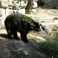 Stephanie Daly Photo 29