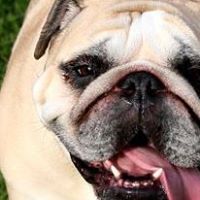 Ruth Sparks Photo 18