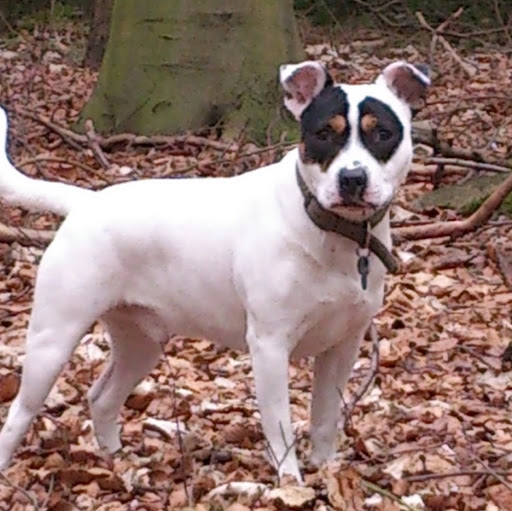 Vicky Morris Photo 10