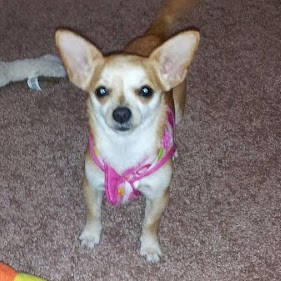 Brenda Howard Photo 6