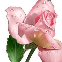 Ellen Harden Photo 28