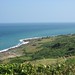 Carol Reef Photo 11
