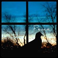 Michele Banks Photo 36