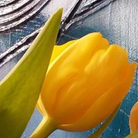 Lisa Hackmann Photo 9