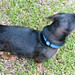 Max Head Photo 15