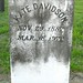 Kate Davidson Photo 36