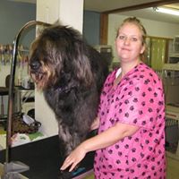 Stacey Gunter Photo 4