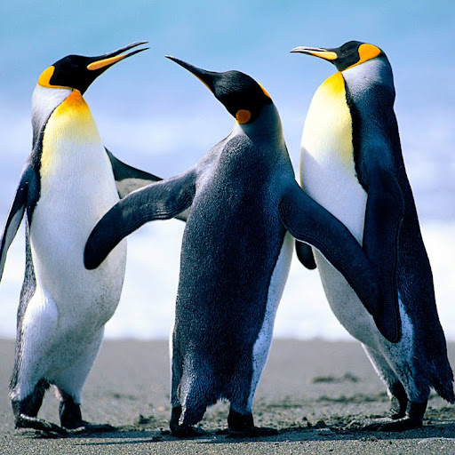 Emmanuel Nunez Photo 13