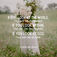 Rachel Webber Photo 17