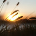 Dawn Mcnally Photo 22