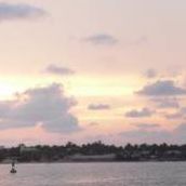 Jerry Baker Photo 38