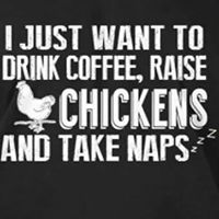 Paula Evans Photo 18