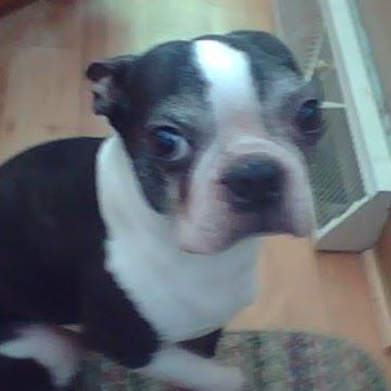 Robin Bauer Photo 17