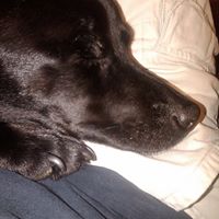 Jeffery Swanson Photo 15