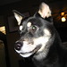 Kevan Green Photo 21