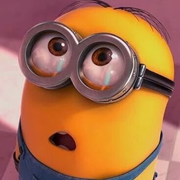 Warren Cook Photo 33