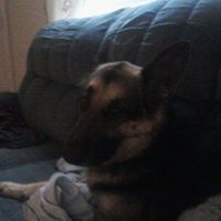 Gerald Walters Photo 9