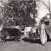 Robert Marsh Photo 30