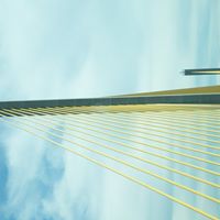 Ronnie Reynolds Photo 11