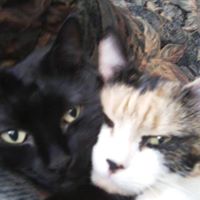 Christine Dinger Photo 9