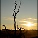 Heather Bruce Photo 19