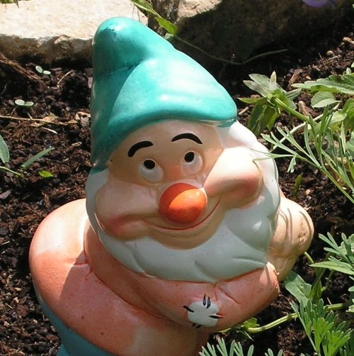 Daniel Lefebvre Photo 34