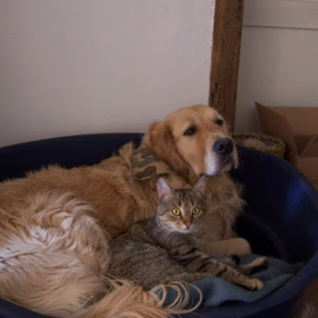 Michael Menke Photo 33