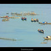 Thai Tran Photo 8