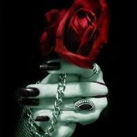 Dawn Lapointe Photo 10