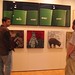 Jason Fisch Photo 8