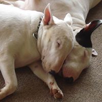 Rosemary Robbins Photo 21