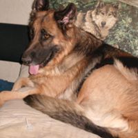 Delores Sharp Photo 17