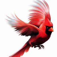 Bobbie Caldwell Photo 30