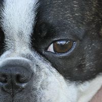 Billie Brooks Photo 12